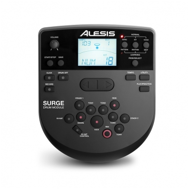 Alesis Surge Mesh Kit Electronic Drum Kit with Mesh Heads 1