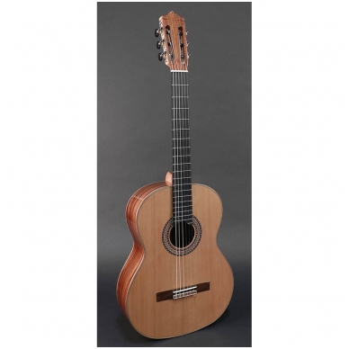 martinez parlor guitar