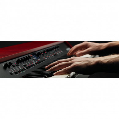 NORD GRAND 88-NOTE KAWAI HAMMER ACTION 3