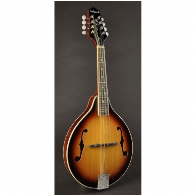 Richwood RSA-60-VS A-Style Mandolin With Spruce Top