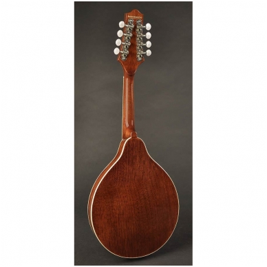 Richwood RSA-60-VS A-Style Mandolin With Spruce Top 1