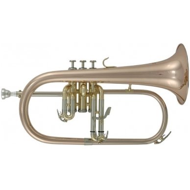 Roy Benson FH-302G Bb Student Flugelhorn