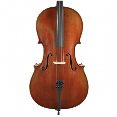 Rudolph RC-844 Cello 4/4