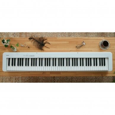 Casio discount slim piano