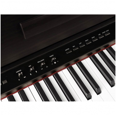 STACIONARUS SKAITMENINIS PIANINAS MEDELI DP-650K/RW 3