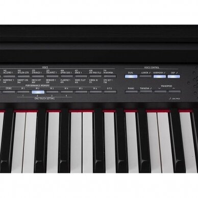 MEDELI DP720/BK DIGITAL HOME PIANO 5